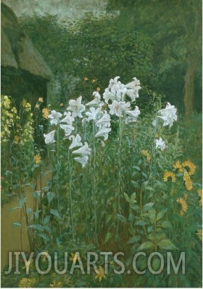 Madonna Lilies in a Garden