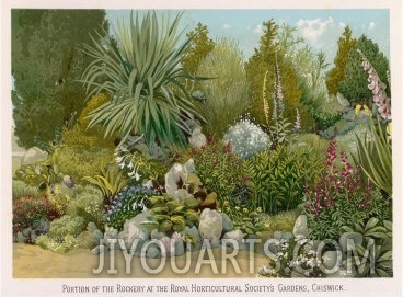 Portion of the Rockery at the Royal Horticultural Society