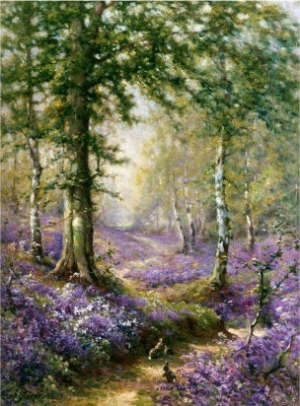 The Bluebell Wood