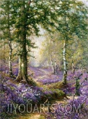 The Bluebell Wood