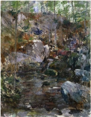 Woodland Stream