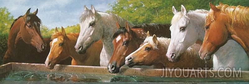 horses drinking water