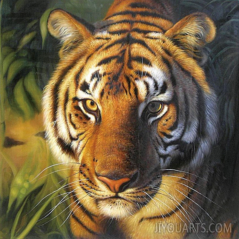 tiger