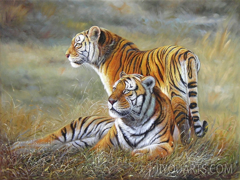 two tigers in the field1
