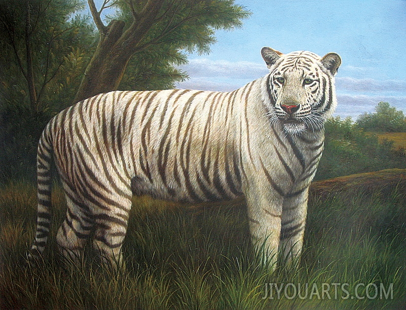 white tiger in the forest