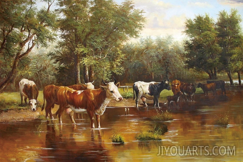 cows in the river