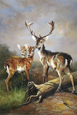 deers in the wild