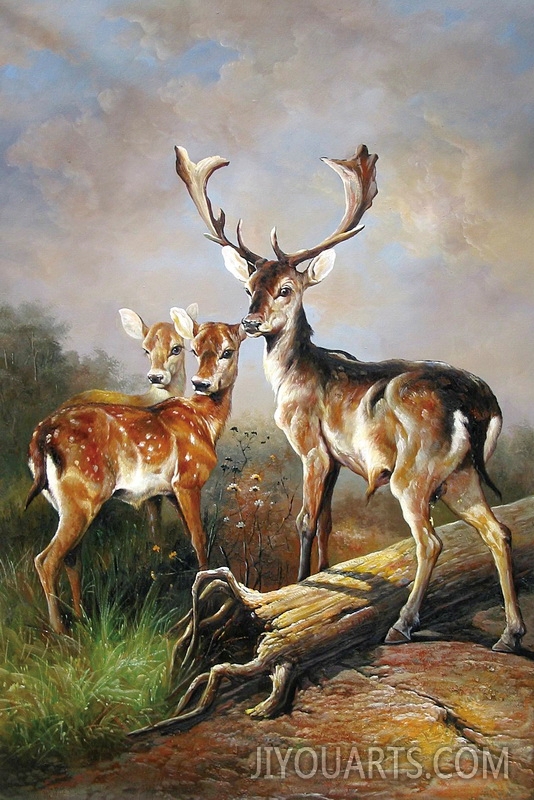 deers in the wild