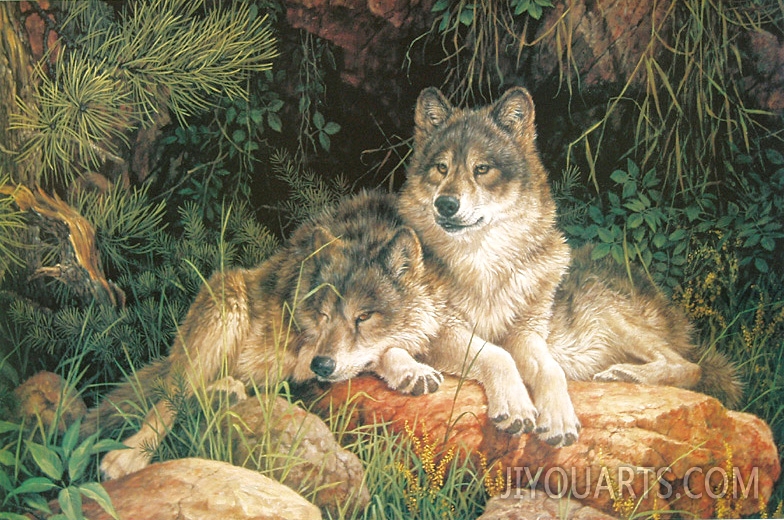 two wolves laying together