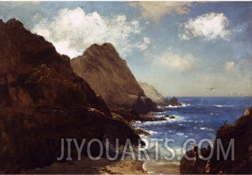 Farallon Islands