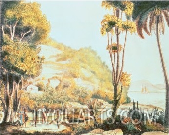 View of the Coast of Brazil Opposite the Island of Santa Catarina, c.1825