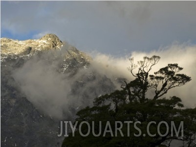 Evening Storm Clouds, Mountains and Beech Trees at Hasst Pass