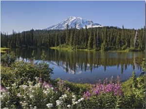 Reflection of Mountain and Trees in Lake, Mt Rainier National Park, Washington State, USA