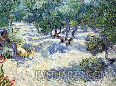 Olive Orchard, 1889
