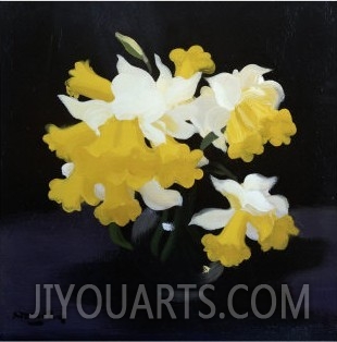 Daffodils