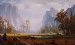 Looking Up the Yosemite Valley