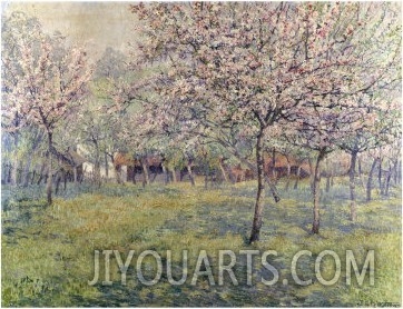 The Orchard at Blossom Time