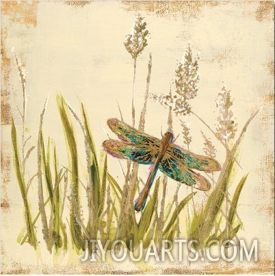 Dragonfly Meadow