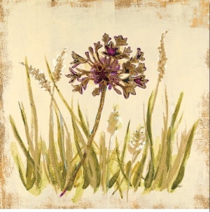 Meadow Grasses