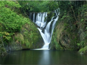 Furnace Falls and Pool Below, Furnace, Dyfed, Wales, United Kingdom, Europe