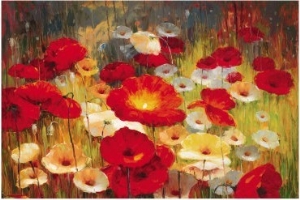 Meadow Poppies I