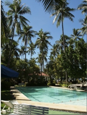 Peaceful Swimming Pool Amongst Tropical Palm Trees