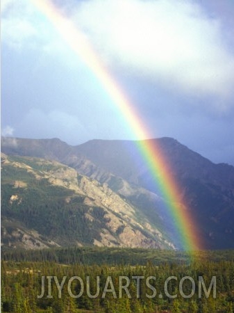 Rainbow over Forest, Alaska