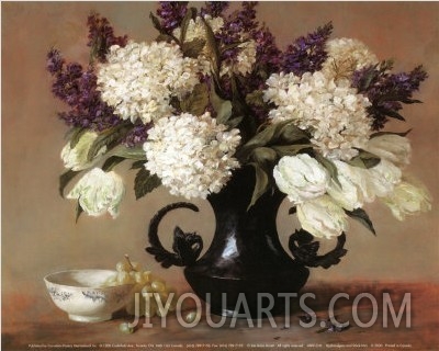 Hydrangeas and Stock