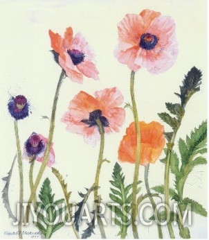 Oriental Poppies