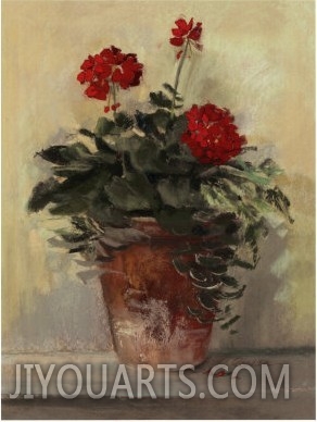 Potted Geraniums II