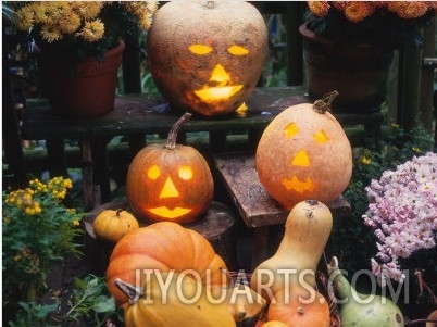 Different Kinds of Pumpkin and Pumpkin Faces at Halloween (Cucurbita Sp.)