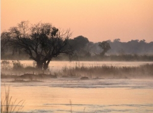 Early Morning Mist Rises off the Zambezi River, Zambezi National Park, Matabeleland North, Zimbabwe