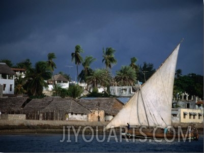 Traditional Dhow Sailing Past Town, Lamu, Coast, Kenya