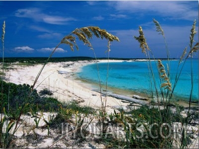 Beach View Through Native Grasses, Conception Island, San Salvador & Rum Cay, Bahamas