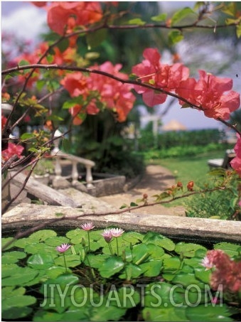 Tropical Blossoms at the Coral Reef Club Entrance, Barbados