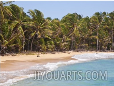 Beach Near Garret Point, Little Corn Island, Corn Islands, Nicaragua, Central America