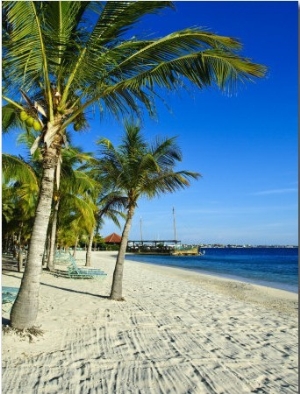 Bonaire, Netherlands Antilles, West Indies, Caribbean, Central America