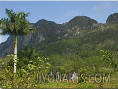 Little Hut in the Countryside Below Rocky Hills, Vinales, Cuba, West Indies, Central America