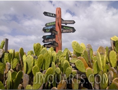 Signpost Standing Among Cactuses, Barbados, West Indies, Caribbean, Central America