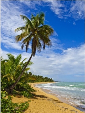 Tres Palmitas Beach, Puerto Rico, West Indies, Caribbean, Central America1