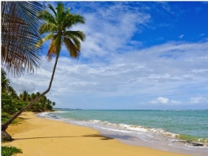 Tres Palmitas Beach, Puerto Rico, West Indies, Caribbean, Central America3