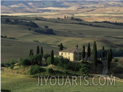 Farmhouse and Cypress Tres in the Earning Morning, San Quirico d