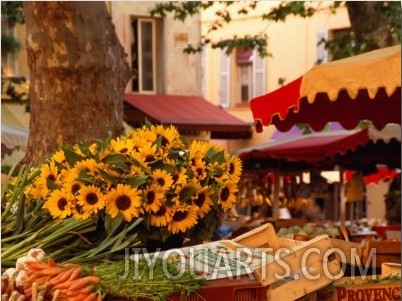 Sunflowers on Market Stall, Aix En Provence, France