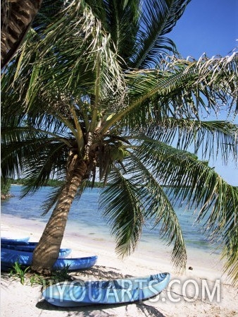 Beach with Palm Tree and Kayak, Punta Soliman, Mayan Riviera, Yucatan Peninsula, Mexico