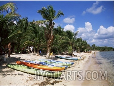 Beach with Palm Trees and Kayaks, Punta Soliman, Mayan Riviera, Yucatan Peninsula, Mexico