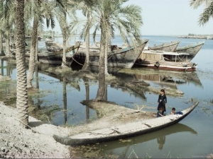 River Tigris, Near Qurna, Iraq, Middle East