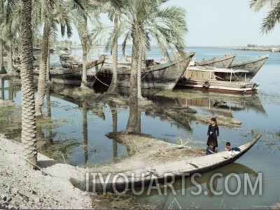 River Tigris, Near Qurna, Iraq, Middle East