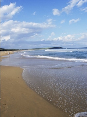 Dee Why Beach, Sydney, New South Wales, Australia