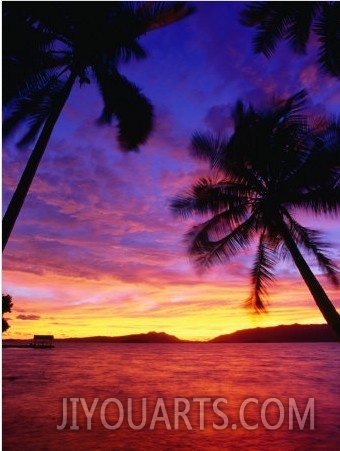 Island Sunset, Marovo Lagoon, Western Province, Solomon Islands