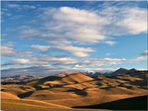 North Otago Landscape, South Island, New Zealand